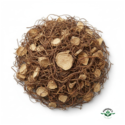 Burdock Root