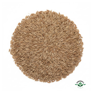 Cumin Seeds