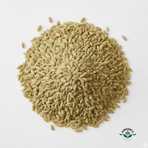 Fennel Seeds