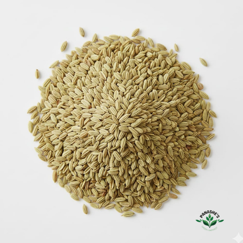 Fennel Seeds