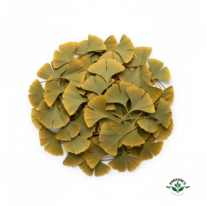 Ginkgo Leaves