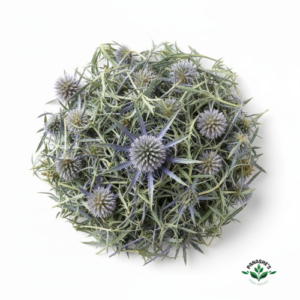 Holy Thistle