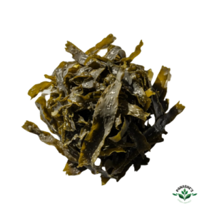 Kelp Seaweed