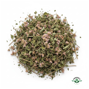 Motherwort
