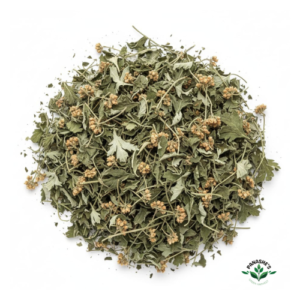 Mugwort