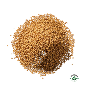 Mustard Seeds