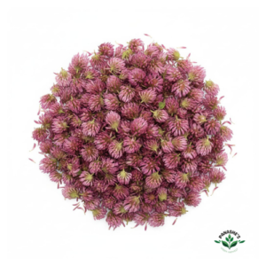 Red Clover Flowers