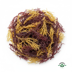 Sea Moss