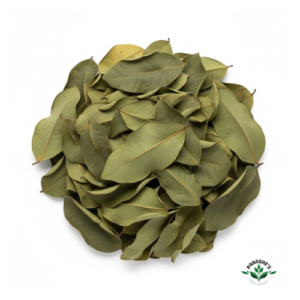 Soursop Leaves