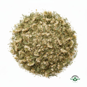 Yarrow