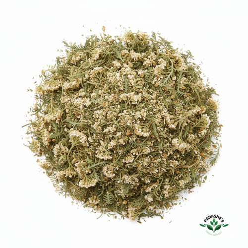 Yarrow